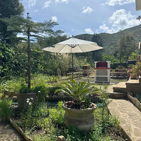 Dei Fiori - Casa 別荘 *