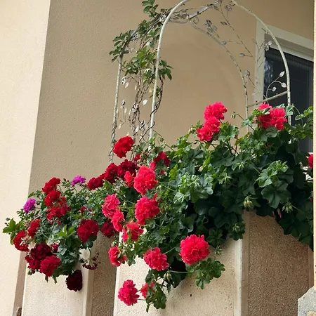 Dei Fiori - Casa * カポテッラ