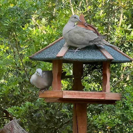 別荘 Dei Fiori - Casa カポテッラ