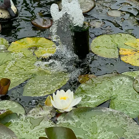 Dei Fiori - Casa * カポテッラ