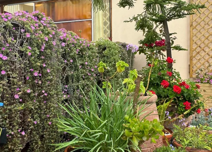 Nyaraló Dei Fiori - Casa